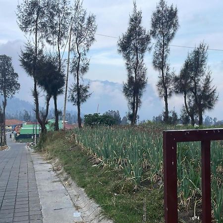 Bromo Semesta Guesthouse โปรโบลิงโก ภายนอก รูปภาพ